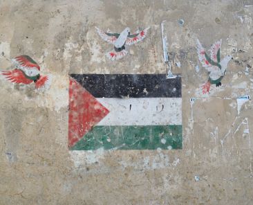 Gaza Crisis Deepens as Ceasefire Struggles and Humanitarian Conditions Worsen