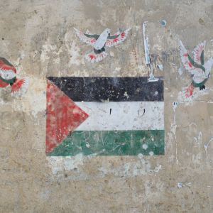 Gaza Crisis Deepens as Ceasefire Struggles and Humanitarian Conditions Worsen