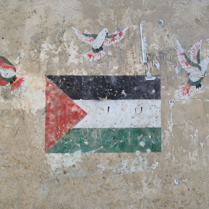 Gaza at a Crossroads: Rising Civilian Deaths, Stalled Ceasefire Talks, and a Growing Humanitarian Emergency