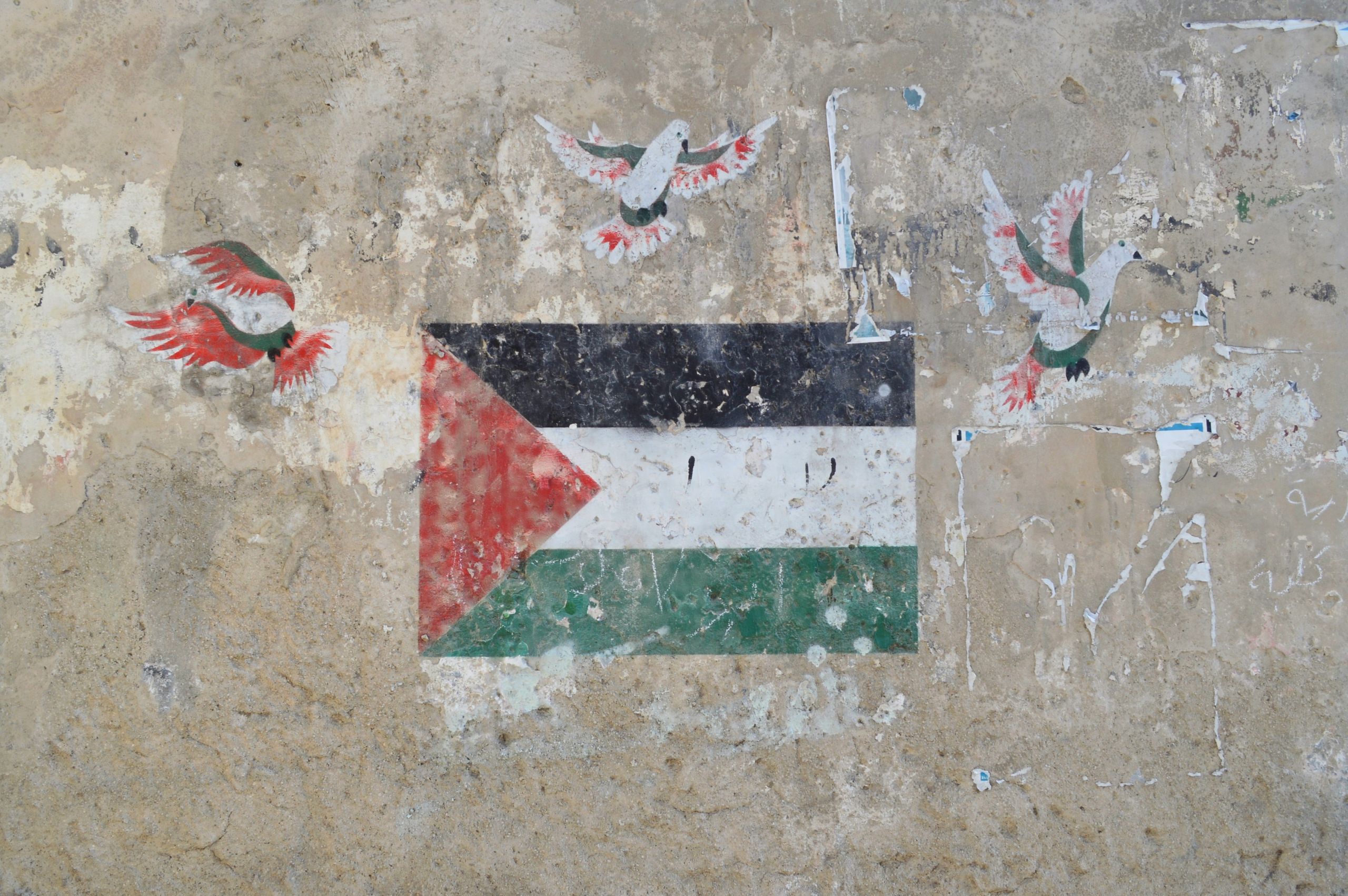 Gaza at a Crossroads: Rising Civilian Deaths, Stalled Ceasefire Talks, and a Growing Humanitarian Emergency