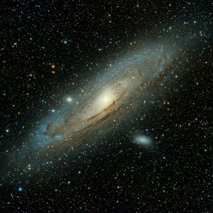 James Webb Reveals an Ancient Ring Galaxy and a Possible High-Speed Intruder
