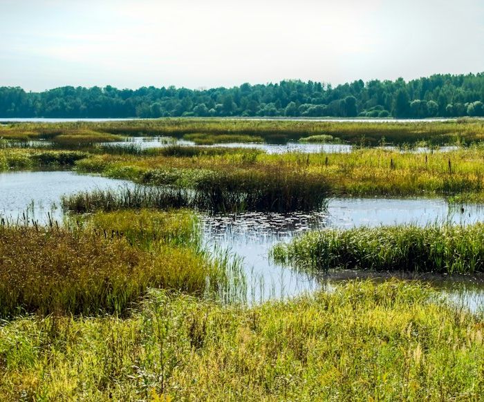 Global Study Maps 45 Threats to 21,490 Freshwater Species, Highlighting Farming and Dams