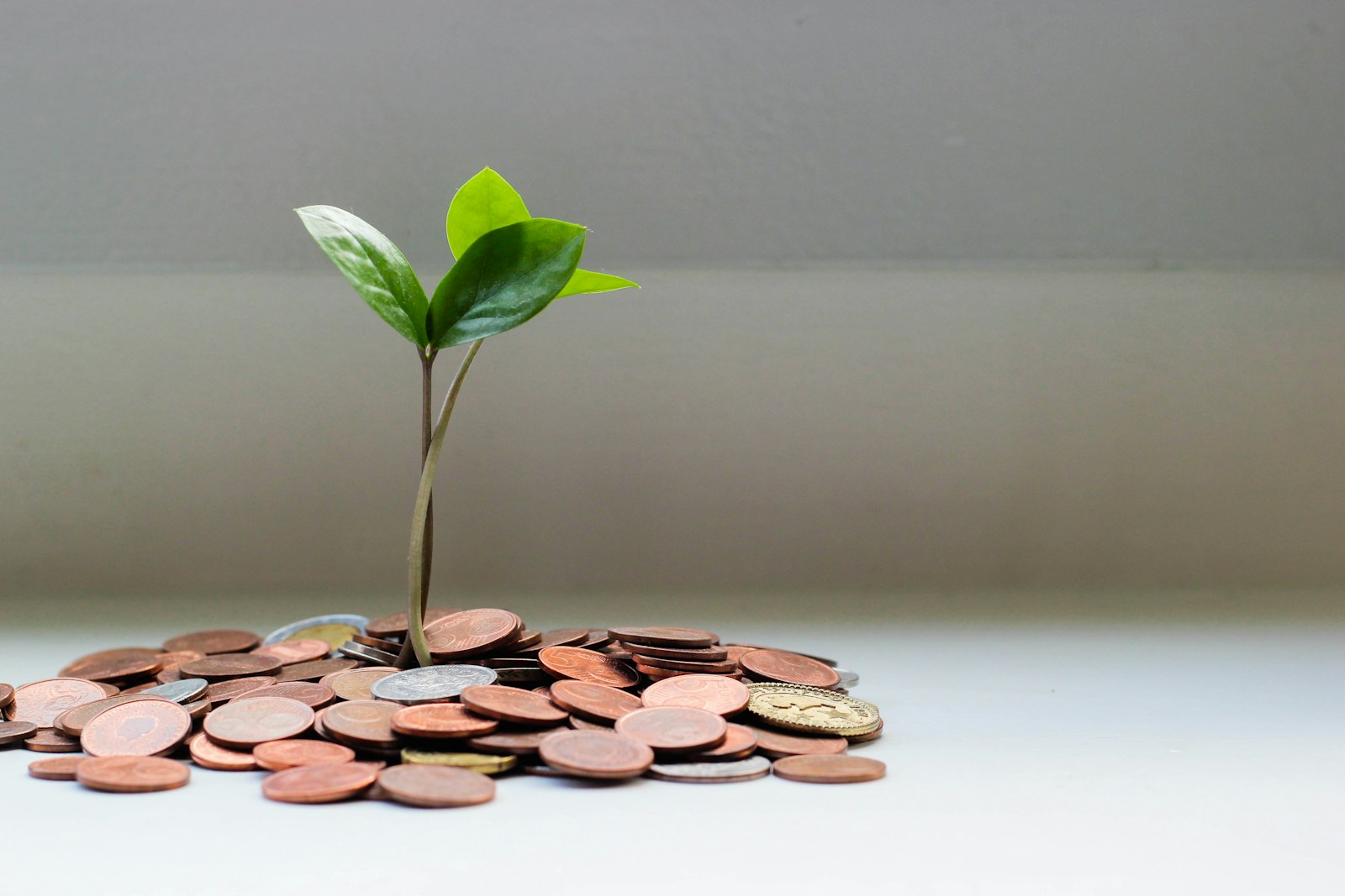 Your November Money Checkup: A Practical Finance Checklist for Indian Households