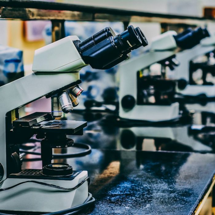 Tokyo Researchers Capture Living Cells in 3D at 19.2 Frames Per Second